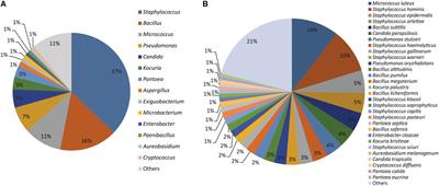 Cultivable Microbial Diversity Associated With Cellular Phones